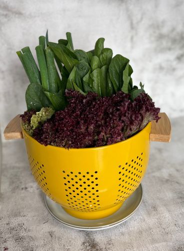 how-to-store-your-greens